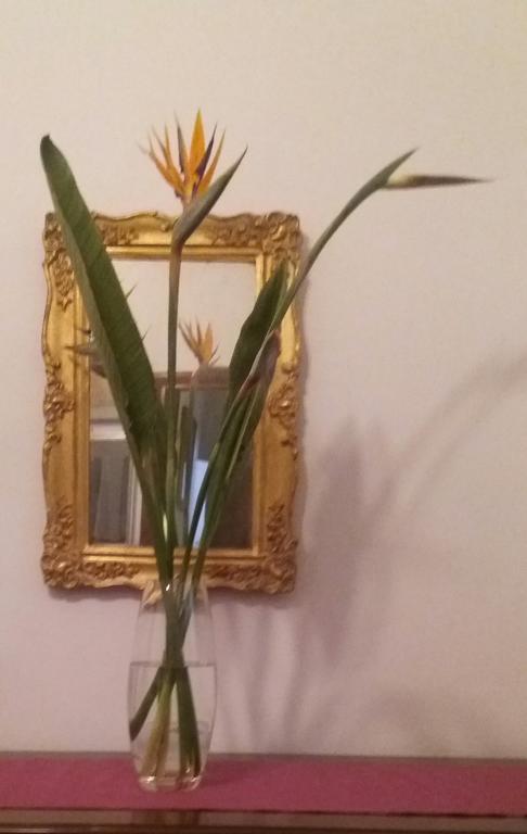 روما Guest House Il Marchese Del Grillo المظهر الخارجي الصورة